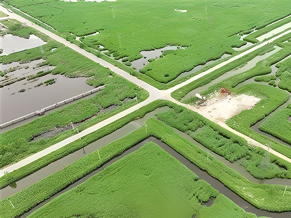 66e396c8b2f9f.jpg 1-1.jpg