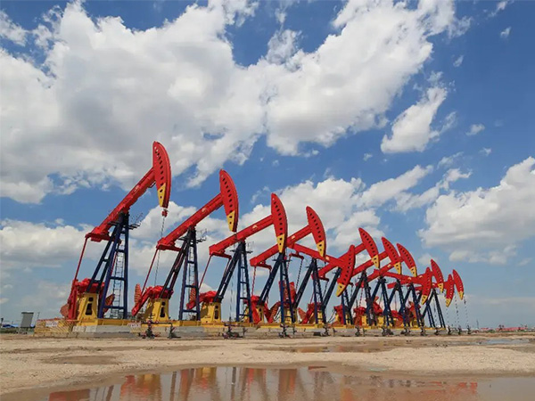 67491d4483bcd.jpg 1-1.jpg